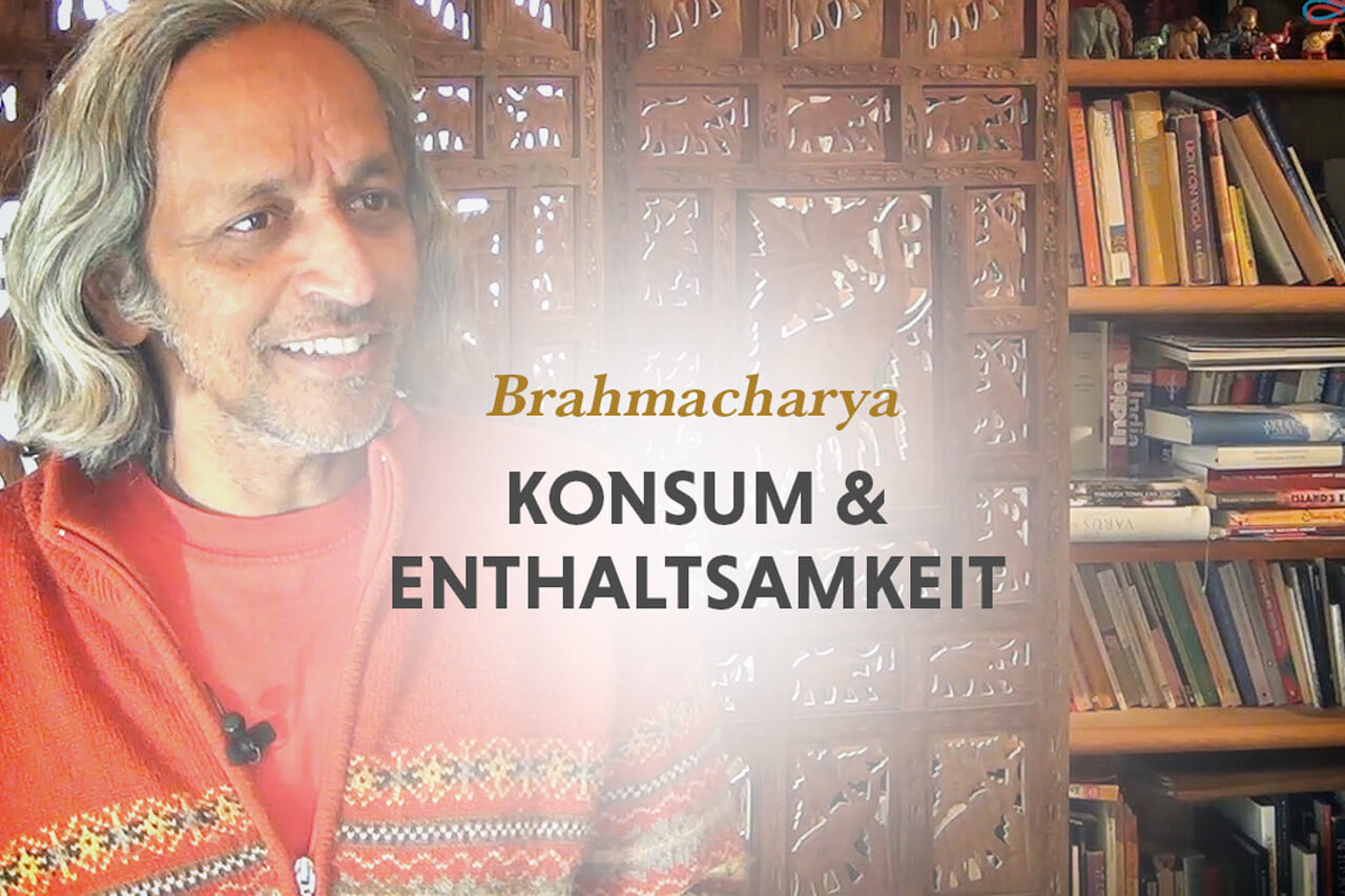 R. Sriram über Konsum