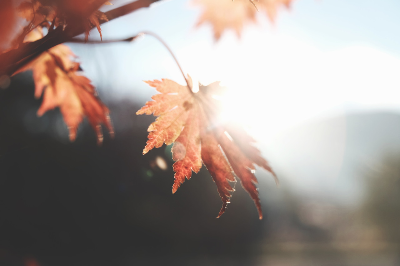 Wie der Herbst-Blues bei euch keine Chance hat
