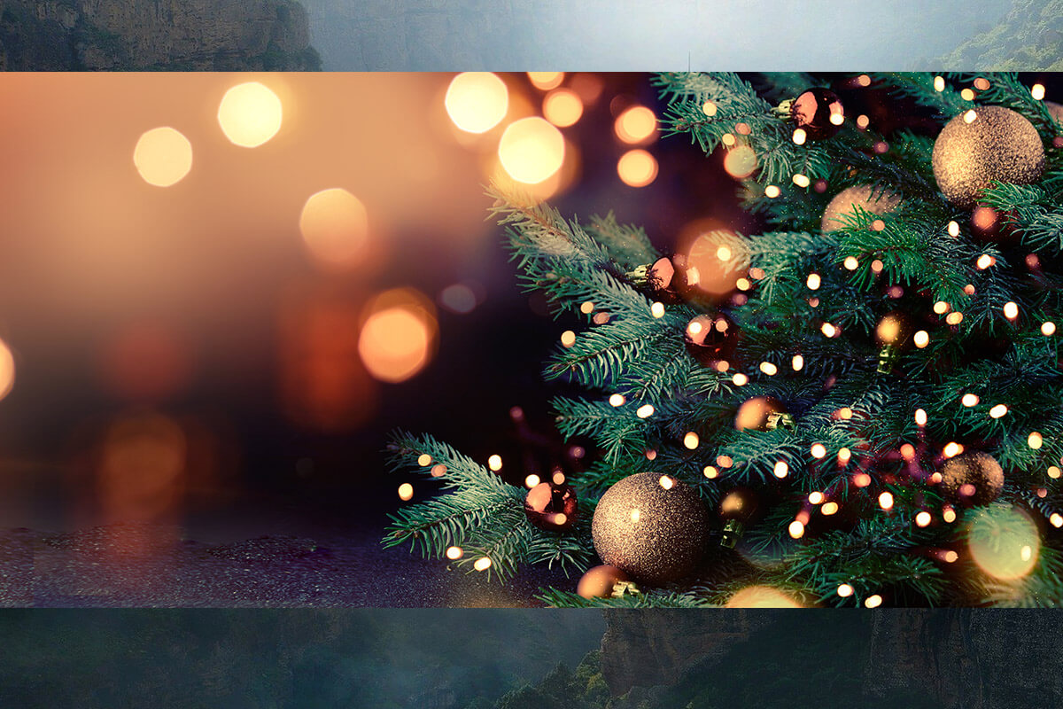 eihnachtsgeschenke-faire_baeume