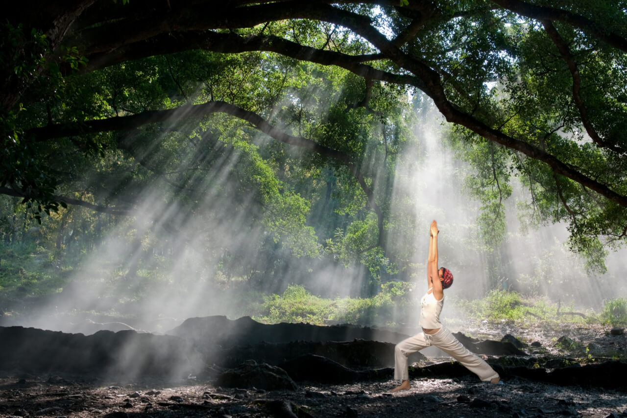 Yoga-Posen, Archetypen und Naturelemente