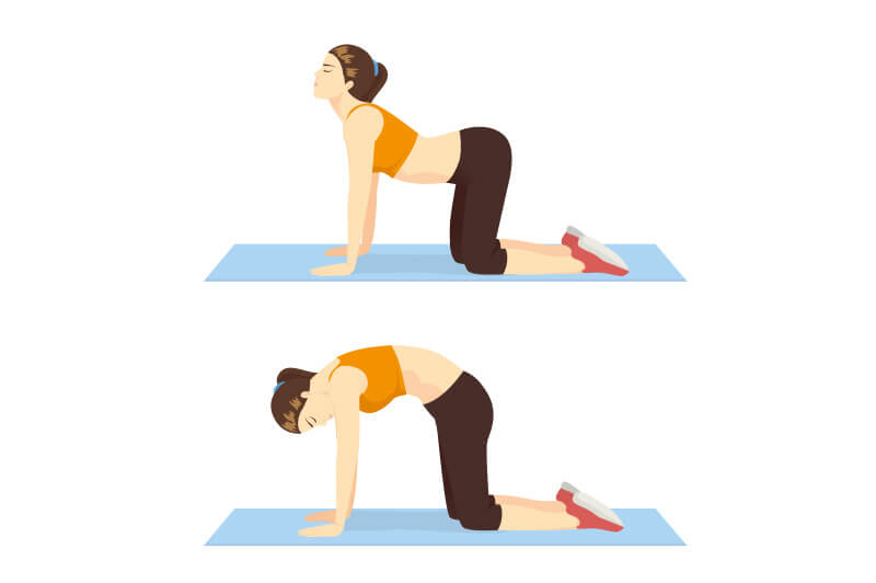 Katze-Kuh Yoga-Position